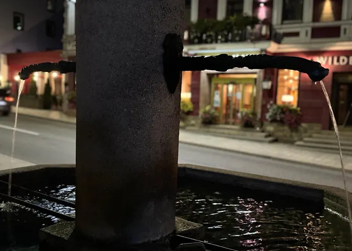 Alpin Am Dorfbrunnen Family * シュタイナハ・アム・ブレンナー